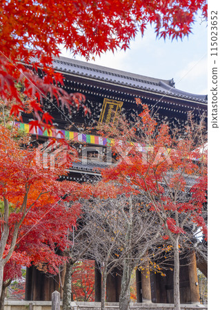 Kurodani Konkai Komyoji Temple's mountain gate surrounded by autumn leaves 115023652