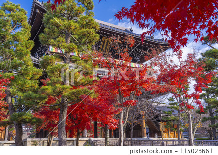 紅葉覆蓋的黑谷玄海光明寺山門 115023661