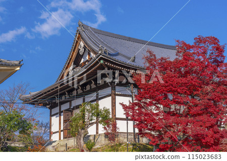 Kurodani Konkai Komyoji Temple: Amida Hall surrounded by autumn leaves Kurodani Konkai Komyoji Temple: Amida Hall surrounded by autumn leaves 115023683