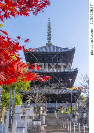 黑谷空海光明寺文殊塔被秋葉包裹 115023687