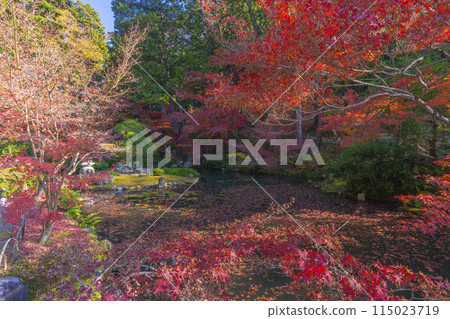 Kurodani Konkai Komyoji Temple: The northern garden of the abbot's chambers surrounded by autumn leaves 115023719