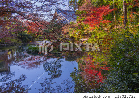 Kurodani Konkai Komyoji Temple: The northern garden of the abbot's chambers surrounded by autumn leaves 115023722