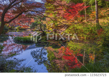 Kurodani Konkai Komyoji Temple: The northern garden of the abbot's chambers surrounded by autumn leaves Kurodani Konkai Komyoji Temple: The northern garden of the abbot's chambers surrounded by autumn leaves 115023723