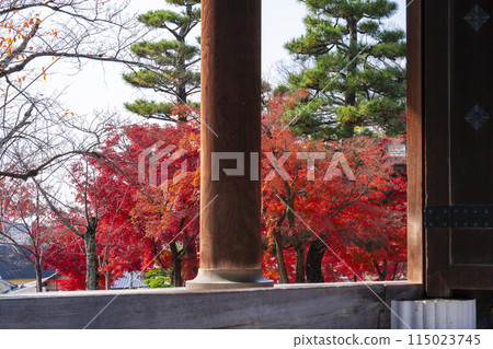 Kurodani Konkai Komyoji Temple's mountain gate surrounded by autumn leaves Kurodani Konkai Komyoji Temple's mountain gate surrounded by autumn leaves 115023745