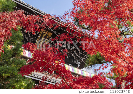 紅葉覆蓋的黑谷玄海光明寺山門 紅葉覆蓋的黑谷玄海光明寺山門 115023748