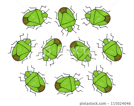A group of stink bugs 115024046