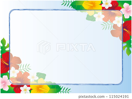 熱帶芙蓉框架背景 115024191