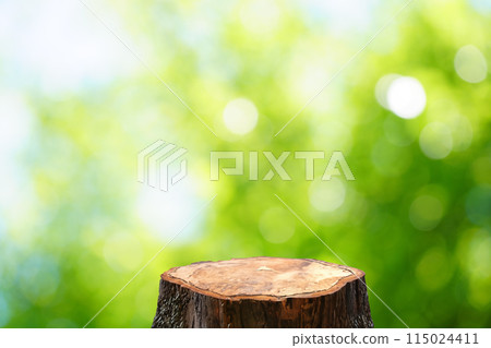 A stump stand on a green background with overlapping blurred bokeh lights A stump stand on a green background with overlapping blurred bokeh lights 115024411