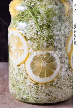 Elder flowers drink glass. White flower shrub. Harvesting buds for making syrup and drink. Cooking drinks. Elder flowers drink glass. White flower shrub. Harvesting buds for making syrup and drink. Cooking drinks. 115025197