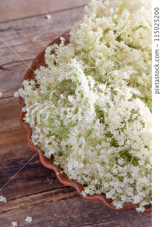 Elder flowers. White flower shrub. Harvesting buds for making syrup and drink. Cooking and food in a bowl on the table. 115025200