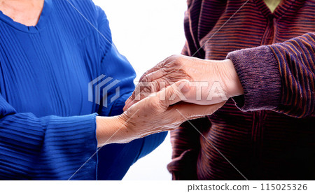 幸福的老年夫婦手牽手 幸福的老年夫婦手牽手 115025326