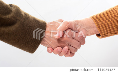 Happy elderly couple shaking hands Happy elderly couple shaking hands 115025327