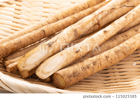 [Produced in Aomori Prefecture] Yamase burdock 115025385