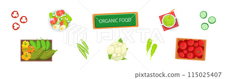 Organic Crop and Vegetable Ingredient for Culinary Vector Set 115025407