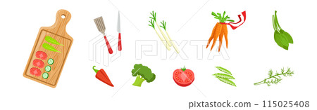 Organic Crop and Vegetable Ingredient for Culinary Vector Set 115025408