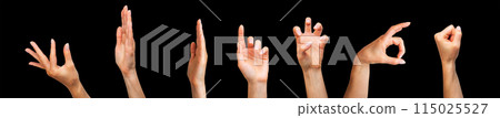 Set of woman hands showing different gestures, pointing and showing signs 115025527