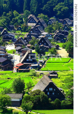 [Gifu Prefecture] View from Shirakawago Shiroyama Observatory 115025962