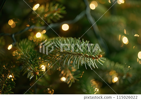 Christmas Lights Hanging against Evergreen Trees Pine Branches with Needles. Winter Evergreen Fir, Many Particles of Snow Dust Falling. Green Spruce, Tiny Light Golden Bokeh. Natural Xmas Background Christmas Lights Hanging against Evergreen Trees Pine Branches with Needles. Winter Evergreen Fir, Many Particles of Snow Dust Falling. Green Spruce, Tiny Light Golden Bokeh. Natural Xmas Background 115026022