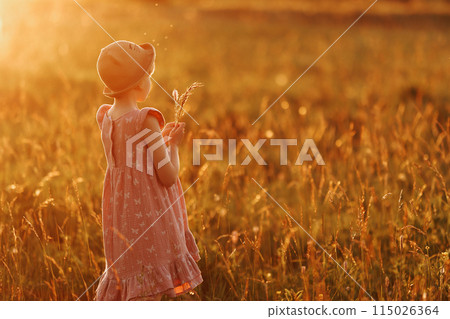 A young girl in a field of flowers, holding a bouquet of spikelets 115026364