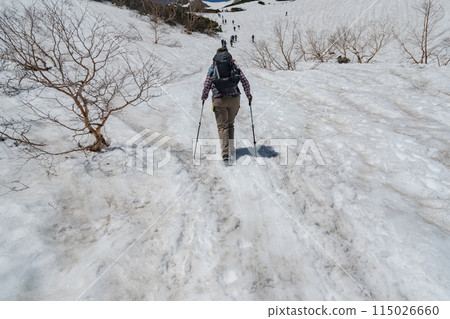 Climbing a snowy mountain when snow still remains Climbing a snowy mountain when snow still remains 115026660