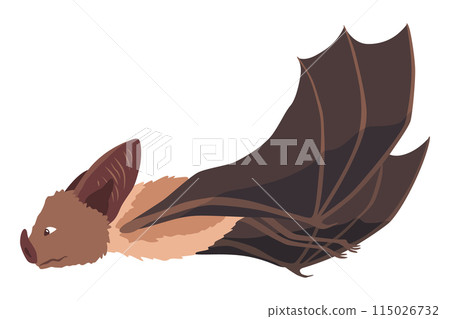 Bat. Concept cartoon bat. Vector clipart illustration isolated on white background 115026732