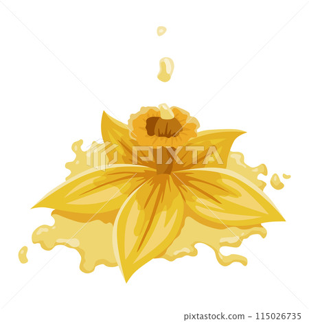 Vanilla flower. Realistic vector isolated design element. Nature spice. Yellow blossom with drops Vanilla flower. Realistic vector isolated design element. Nature spice. Yellow blossom with drops 115026735
