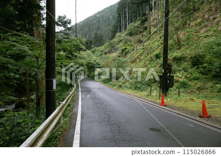 Rainy days with fresh greenery Rainy days with fresh greenery 115026866