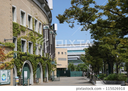 Hanshin Koshien stadium 115026918