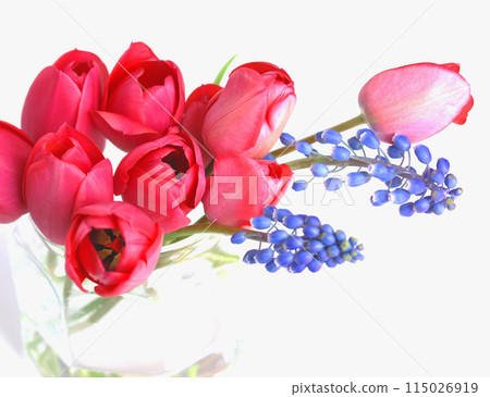 Tulips in a glass jar, spring flower interior 115026919