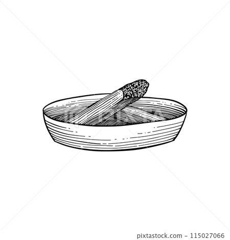 Palo santo stick. Hand drawn aroma burning stick, ritual element and sacred symbol for witchcraft, boho aromatherapy wood. Vector of aroma, esoteric hand drawn palo santo illustration 115027066