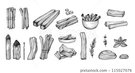 Palo santo sticks. Hand drawn aroma burning stick, ritual elements and sacred symbols for witchcraft, boho aromatherapy wood. Vector collection of aroma, esoteric hand drawn palo santo illustration 115027076