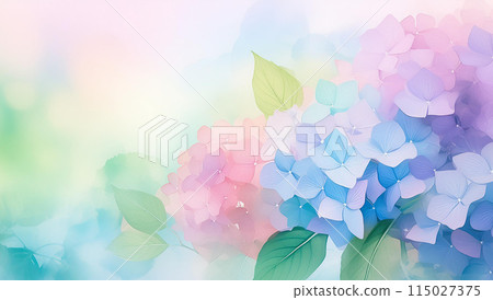 hydrangea hydrangea 115027375