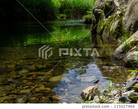 Miyama Kawatombo 115027468