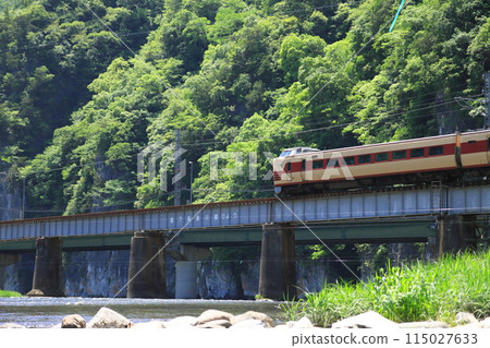 The 381 series Yakumo express train makes its final appearance with the majestic Ikura Gorge in the background. Photographed on May 17, 2024 The 381 series Yakumo express train makes its final appearance with the majestic Ikura Gorge in the background. Photographed on May 17, 2024 115027633
