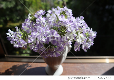 繼續減少馬鞭草用量 115027688