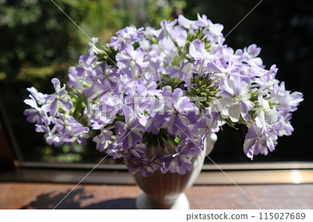 繼續減少馬鞭草用量 115027689