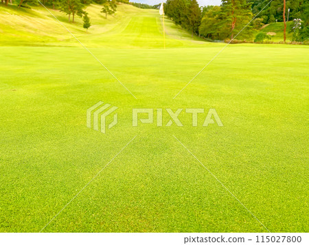Golf course green Golf course green 115027800