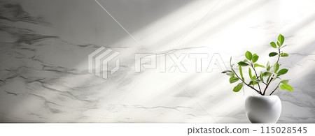 white marble background with plant in pot and shadow overlay 115028545