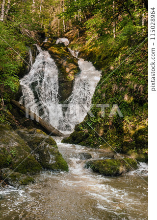 Izubra Waterfall in Nature Park Golija Serbia Izubra Waterfall in Nature Park Golija Serbia 115028964