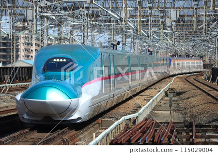 E5 series Yamabiko + E8 series Tsubasa E5 series Yamabiko + E8 series Tsubasa 115029004