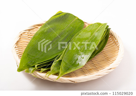 綠色的竹葉 綠色的竹葉 115029020