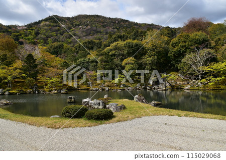 日本春天的京都,世界文化遺產天龍寺,特殊風景區曾池花園,櫻花盛開,綠意盎然 日本春天的京都,世界文化遺產天龍寺,特殊風景區曾池花園,櫻花盛開,綠意盎然 115029068