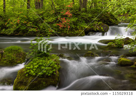 【青森縣_奧入瀨川】初夏的九十九島 115029318