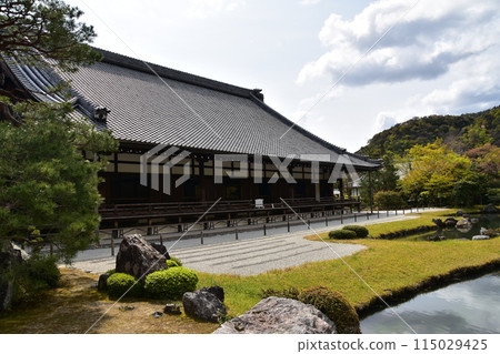 Spring in Kyoto, Japan: Tenryu-ji Temple, a World Heritage Site; the main hall of the historic building; and the Sogenchi Garden, a special scenic spot; cherry blossoms in full bloom and beautiful new greenery 115029425