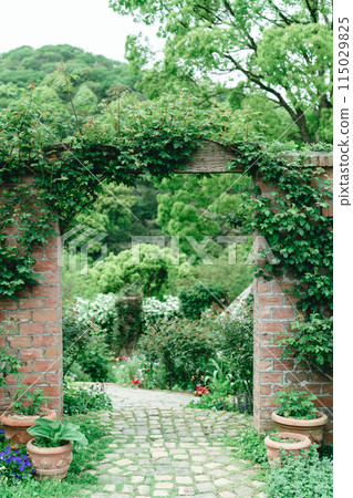 熱海公園風光 熱海公園風光 115029825