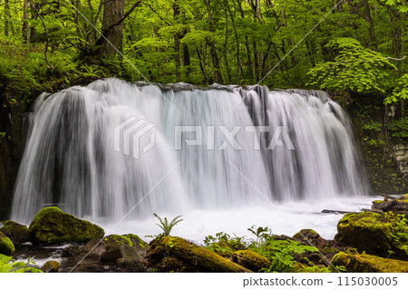 [Aomori Prefecture_Oirase River] Choshi Falls in early summer 115030005