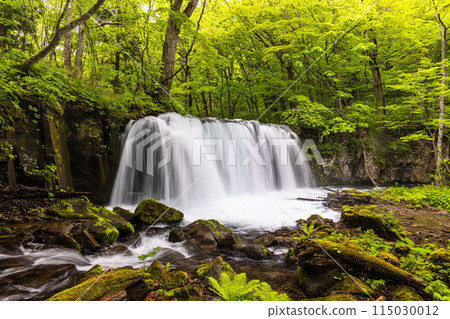 [Aomori Prefecture_Oirase River] Choshi Falls in early summer 115030012