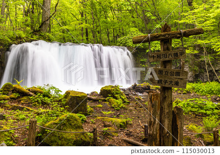 [Aomori Prefecture_Oirase River] Choshi Falls in early summer 115030013