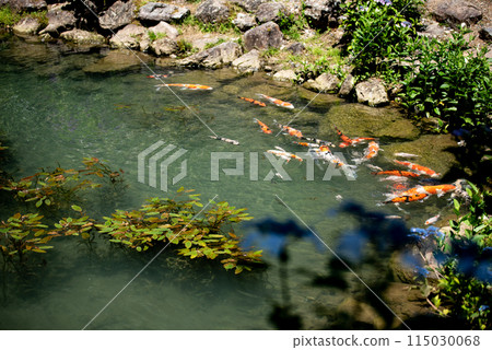 繡球花開時的三光寺 115030068