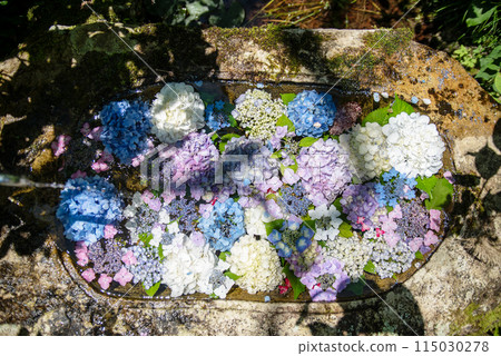 繡球花開時的三光寺 繡球花開時的三光寺 115030278
